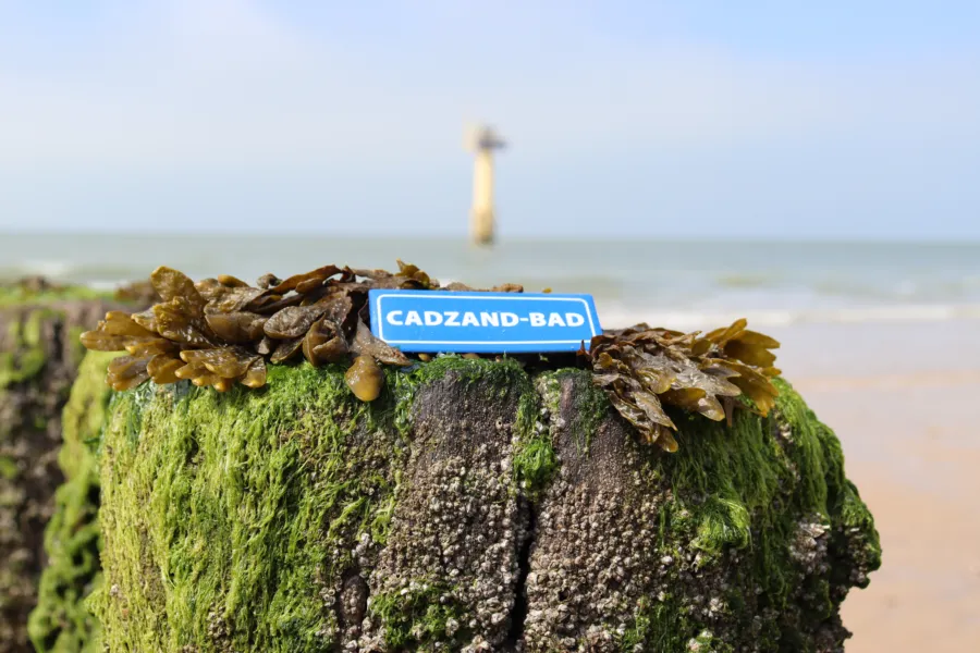 Lage Ferienwohnungen Cadzand-Bad