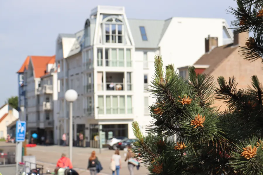 Büro Immo de Nijs Cadzand