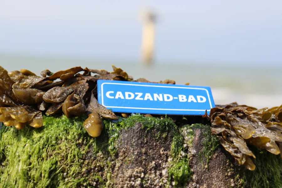 Urlaub buchen Cadzand